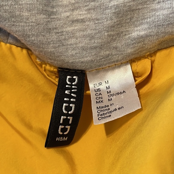 Divided Yellow Jacket - Picture 4 of 6